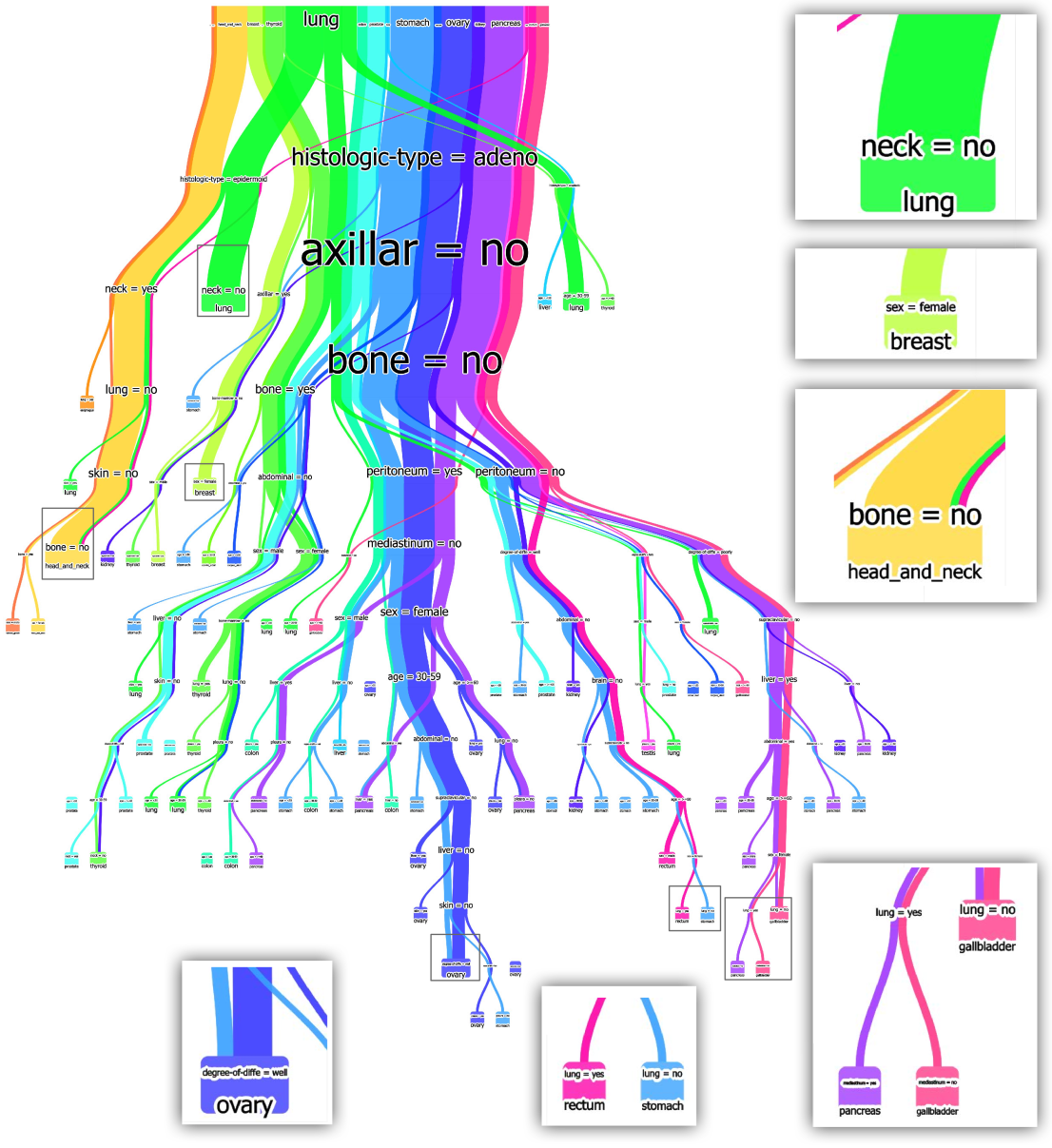 Decision paths colored by class and features